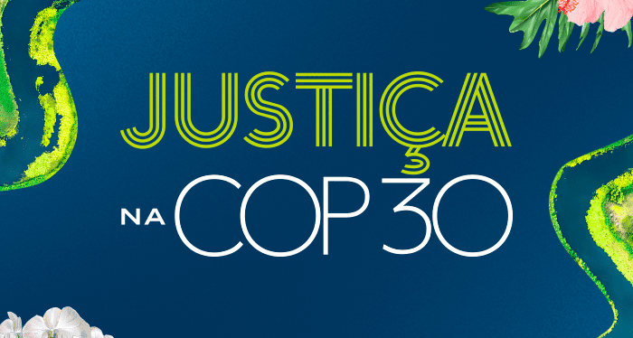 COP30: O papel do STF na proteção ambiental 