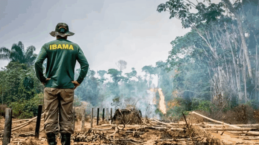 STF definirá quem julga crimes contra espécies ameaçadas