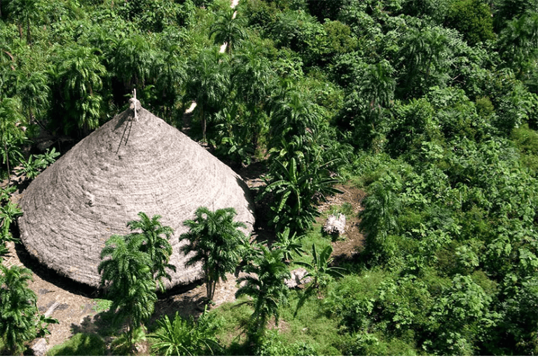 MPF processa Banco do Brasil por financiar atividade ilegal em terra indígena de Rondônia
