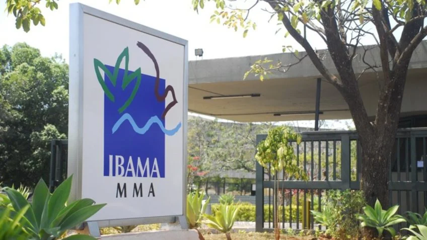 TCU rejeita pedido do Ibama para gerir recursos de acordos ambientais